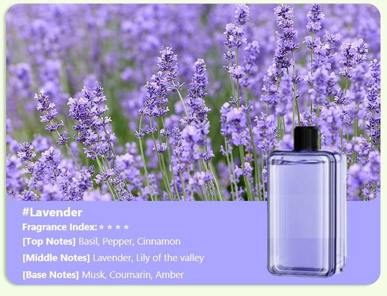 Automatische Aromatherapie Diffuser