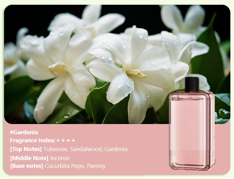 Automatische Aromatherapie Diffuser