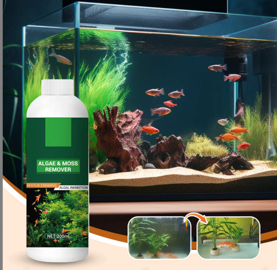🎉Meer Kopen Meer Besparen💥 Algen- & Mosverwijderaar voor Aquarium - Veilige Waterzuivering