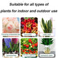 👍Aanbevolen door plantenexperts🌿Vloeibare oplossing voor activering van planten en bloemen