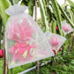 🎁2026 NIEUWE AANWINSTEN 50% KORTING🔥Fruitbeschermingszakken