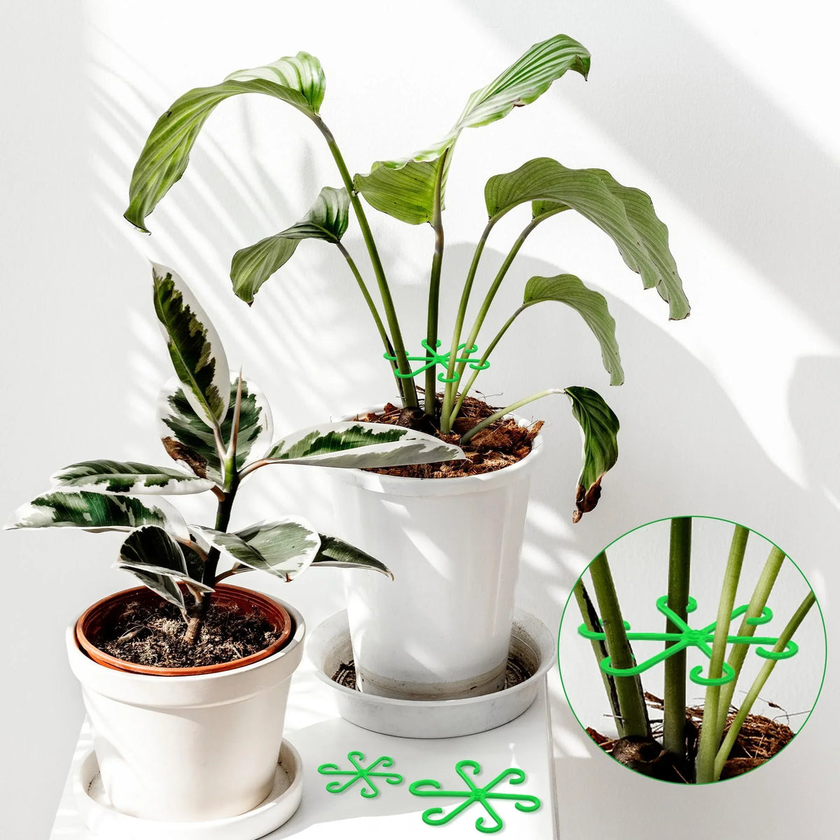 🔥Laatste dag 49% KORTING -🌿Plantenstengelondersteuningsset