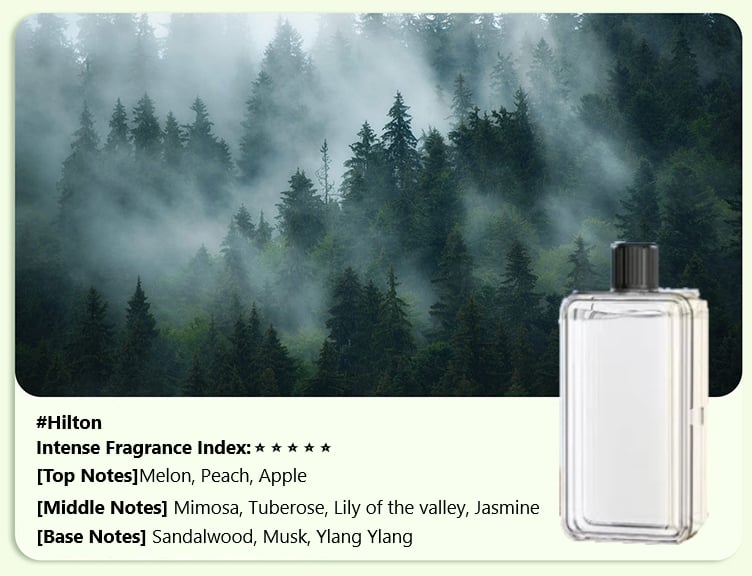 Automatische Aromatherapie Diffuser