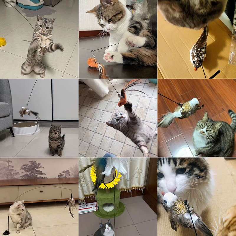 🐱💥 50% KORTING! Stop met het zien van een verveelde kat die je gordijnen sloopt! Deze zuignap-hengel met veren en belletjes houdt hem bezig – zelfspelen of samen, jij kiest.