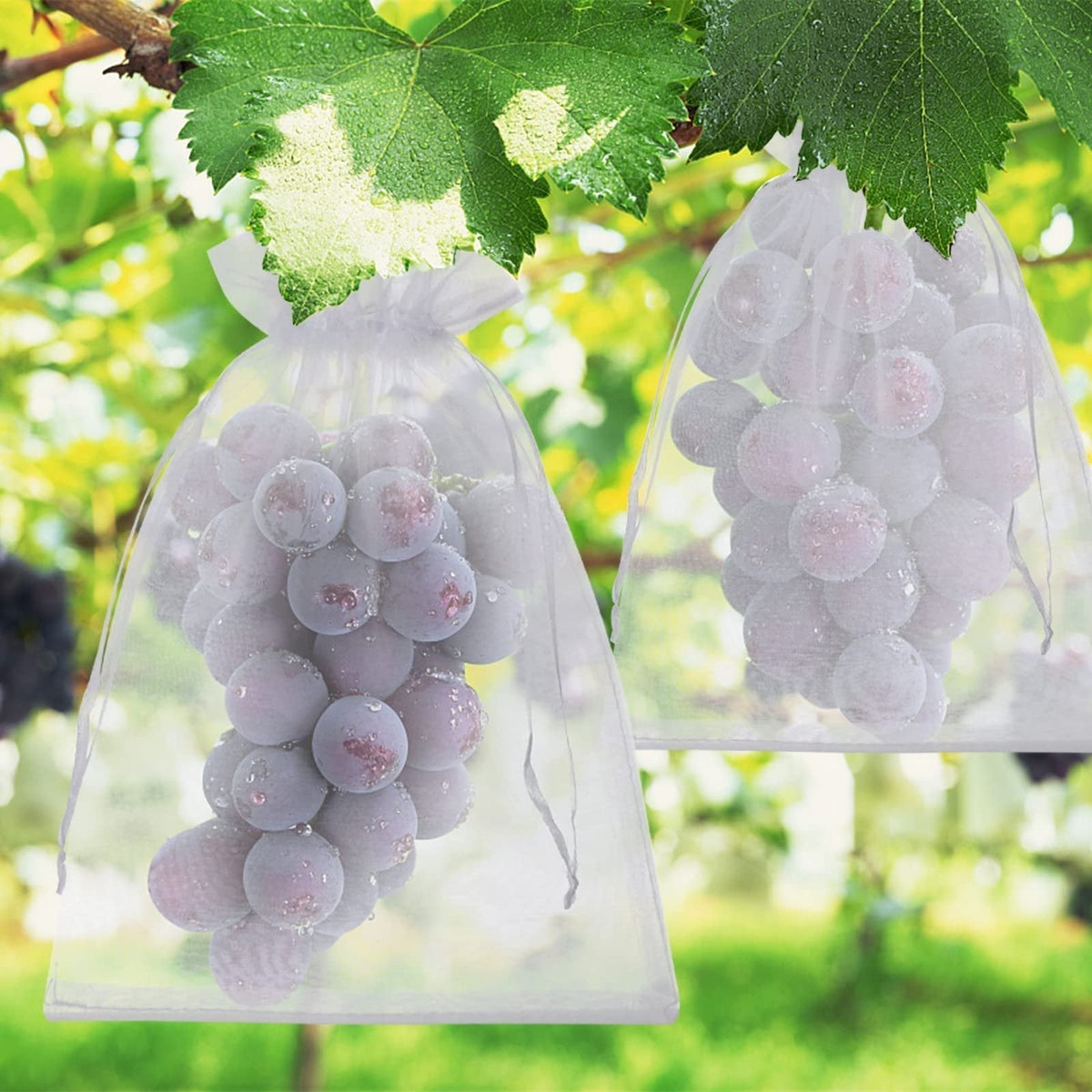 🎁2026 NIEUWE AANWINSTEN 50% KORTING🔥Fruitbeschermingszakken