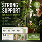 A semi-circular support frame to prevent drooping flowers, suitable for hydrangeas, roses, monstera, indoor potted plants, and outdoor garden vegetables.