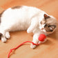 📢📢50 % Rabatt!! + KOSTENLOSER VERSAND 🥳🐾Kühles Sommer-Haustierbett – Faltbare Liegefläche mit feuchtigkeitsableitendem Stoff🛏️💚