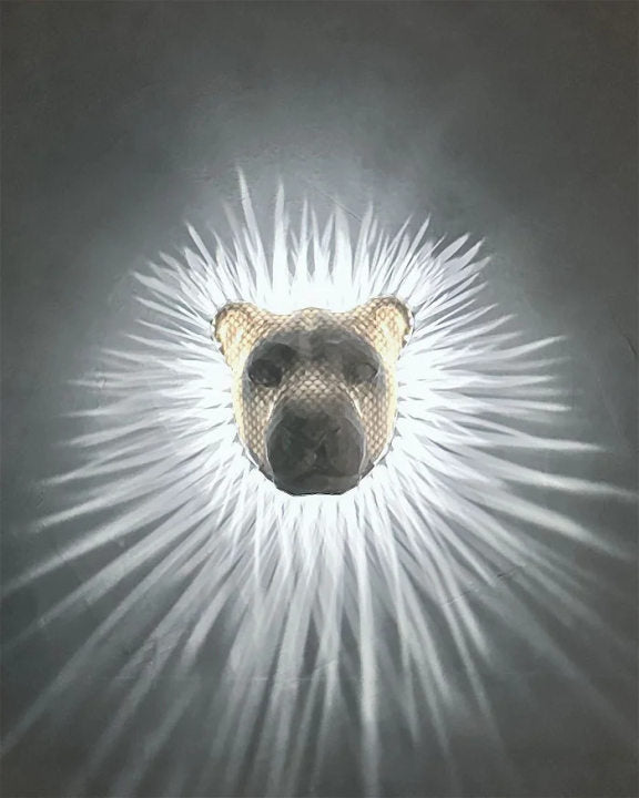 3D Dieren LED Wandlamp - Zeearend & Nachtuil