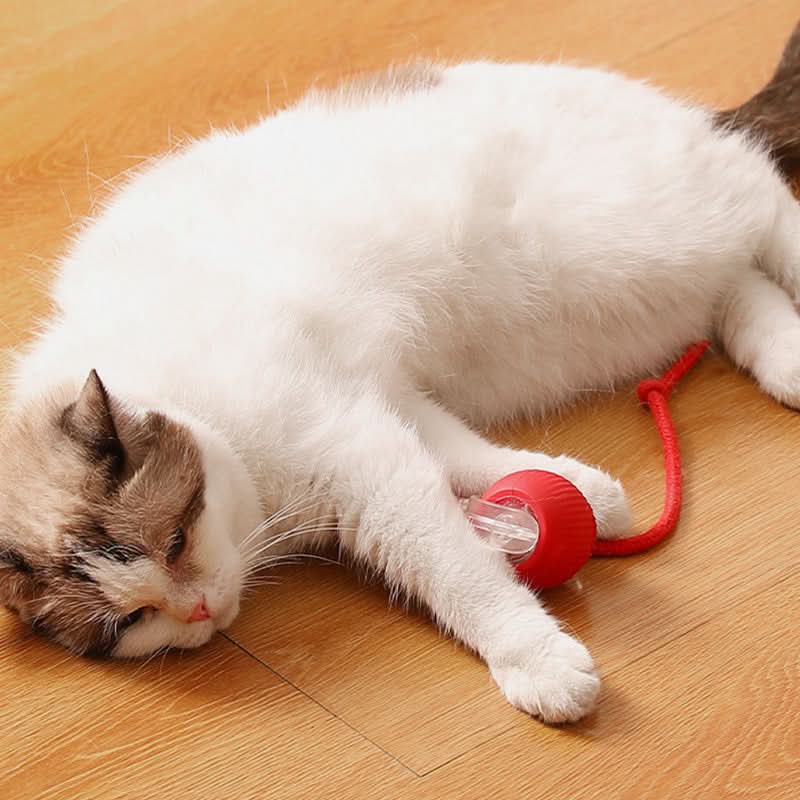 🐱🐶Slimme Automatisch Rollende Dierenbal💥