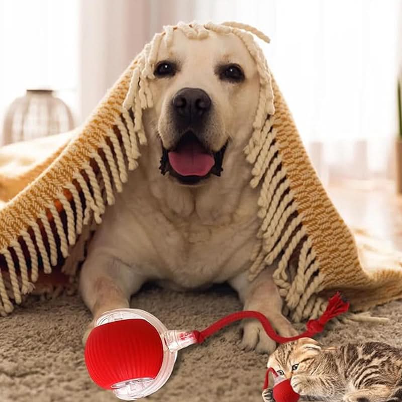 🐱🐶Slimme Automatisch Rollende Dierenbal💥