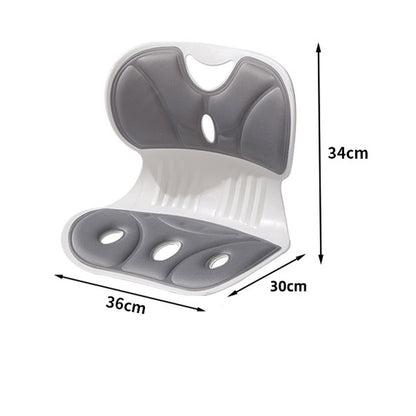 Ergonomisch lendensteunkussen voor bureaustoelen