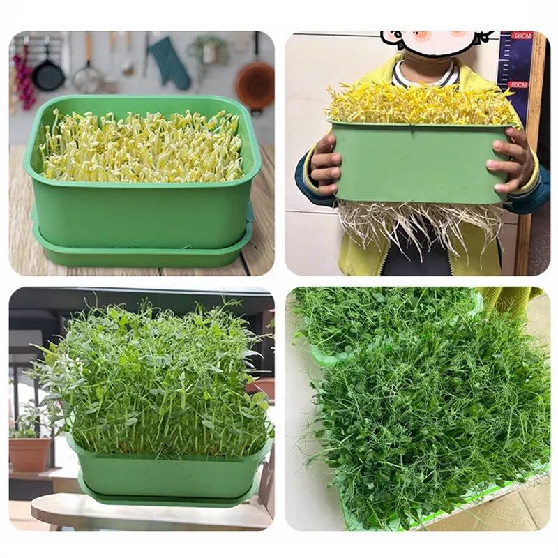 🔥 Stapelbare taugé kweekbak – Meerlaags ontwerp, perfect voor thuisgebruik, gezond en groen leven!