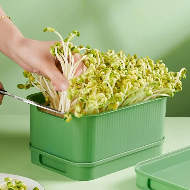 🔥 Stapelbare taugé kweekbak – Meerlaags ontwerp, perfect voor thuisgebruik, gezond en groen leven!