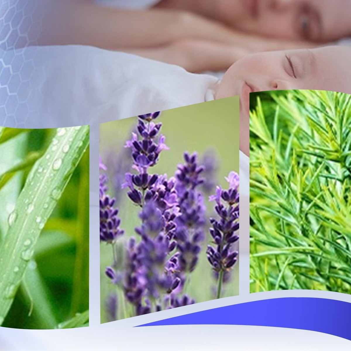 Crema Antimosquitos con Aceite Esencial de Plantas