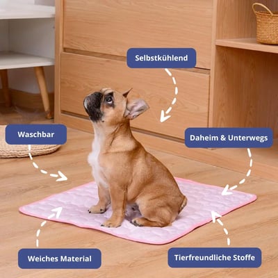 🐶🧊 50% KORTING! Stop met je hijgende huisdier op de hete vloer! ❄️ Zelfkoelende Huisdiermat – Altijd Koel & Comfortabel 💙