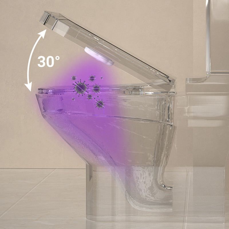 🔥2025 HOT SALE🔥Huiselijke Slimme Toilet Mini Desinfectielamp🚽