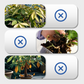 Multi-Plant Vloeibare Reviver