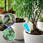 Multi-Plant Vloeibare Reviver