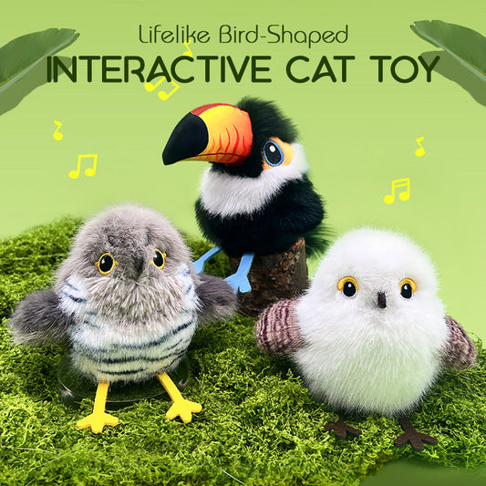 🎉Zomerspecial 50% korting🎉Levensecht interactief kattenspeeltje in de vorm van een vogel