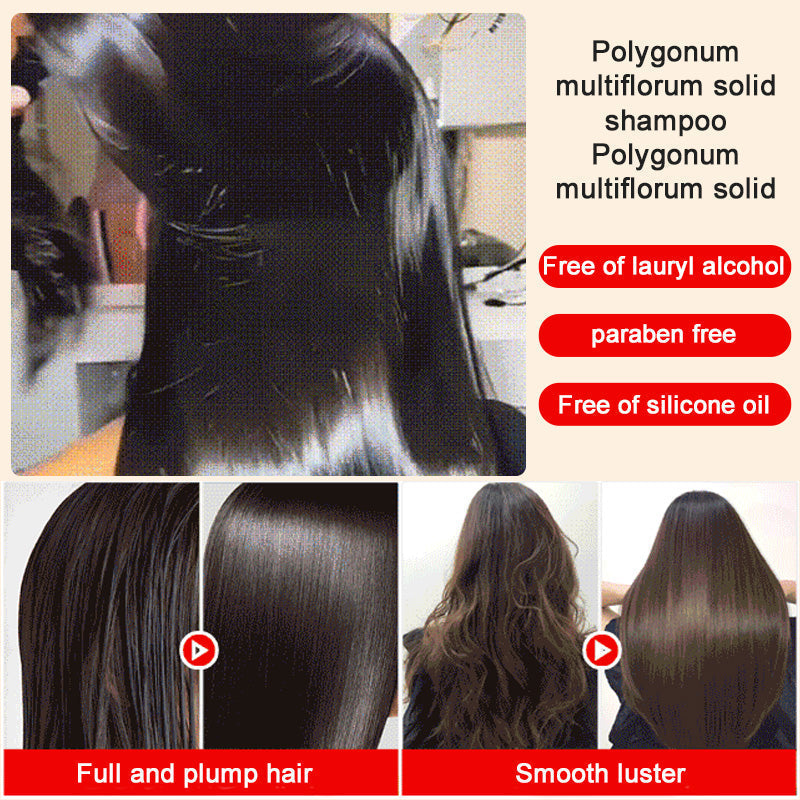 Polygonum Shampoo Zeep, Reinigende Shampoo voor Haar en Gezicht