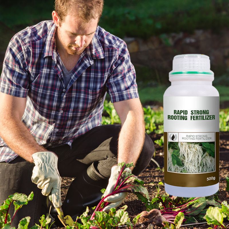 ✨ Snelle Sterke Wortelgroei Meststof – Laat Je Planten Sterker & Gezonder Groeien, In Korte Tijd!