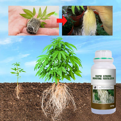 ✨ Snelle Sterke Wortelgroei Meststof – Laat Je Planten Sterker & Gezonder Groeien, In Korte Tijd!