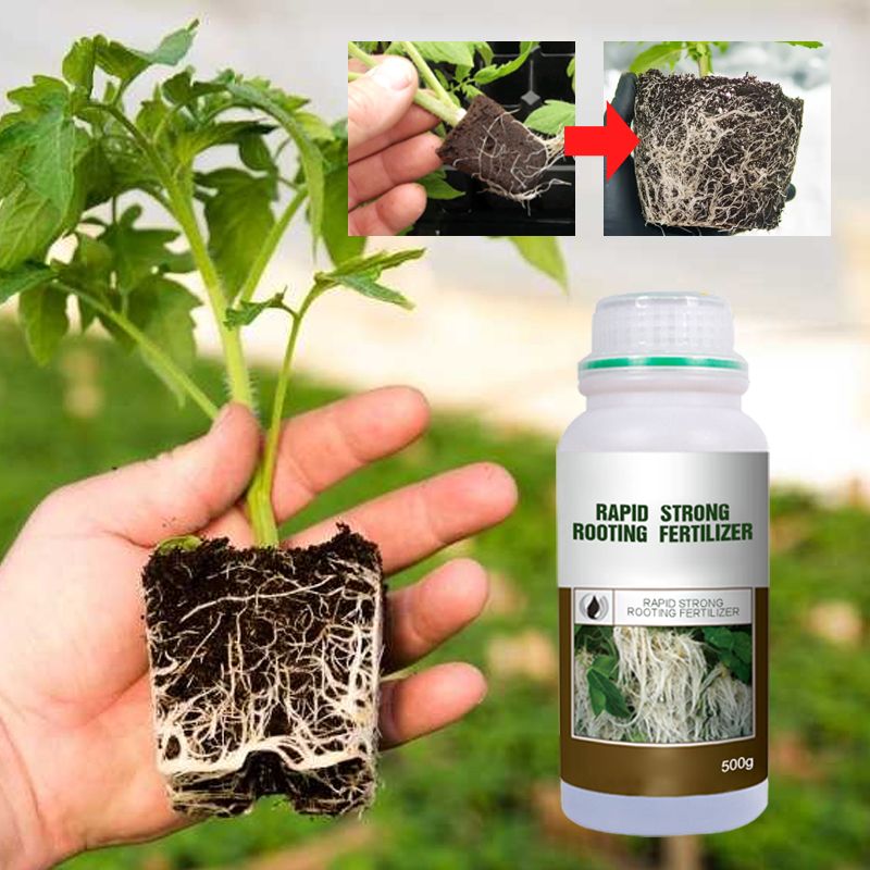 ✨ Snelle Sterke Wortelgroei Meststof – Laat Je Planten Sterker & Gezonder Groeien, In Korte Tijd!
