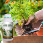 ✨ Snelle Sterke Wortelgroei Meststof – Laat Je Planten Sterker & Gezonder Groeien, In Korte Tijd!