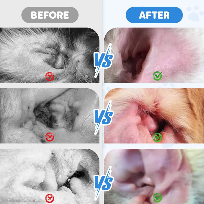 🐾 KOOP 2, KRIJG 1 GRATIS! ✨ Oorreiniger voor huisdieren - Zachte formule met verzachtende aloë vera voor honden en katten, voorkomt infecties en geurtjes 🌿👂