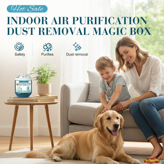 🔥 60% off! Indoor Air Purification Dust Removal Magic Box – No Power, No Effort, Just Cleaner Air 🌿✨