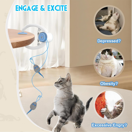 Interactief Automatisch Hangend Kattenspeelgoed voor Binnen