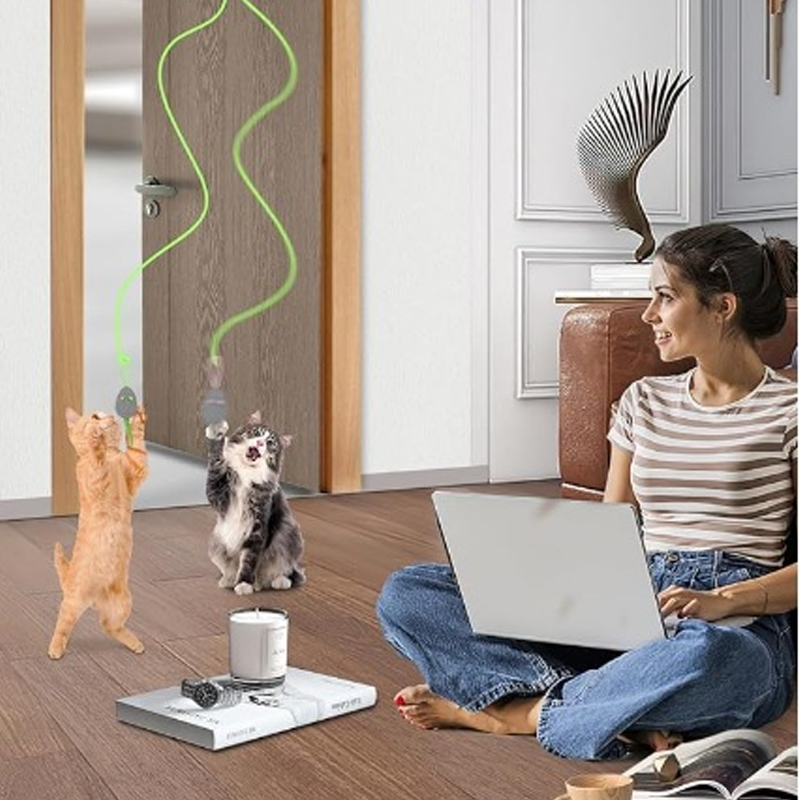Interactief Automatisch Hangend Kattenspeelgoed voor Binnen