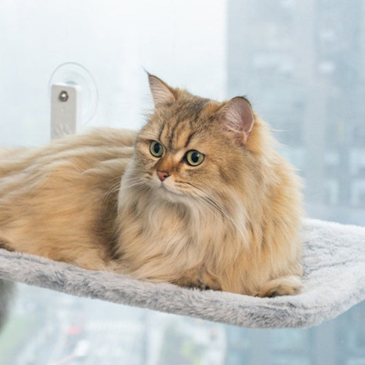 🐱Lente Deal 68% Korting – Opvouwbare Raamhangmat voor Katten met Sterke Zuignappen | Dé Favoriete Zonneplek voor Elke Kat