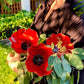 Handmade Metal Flower on a Stick
