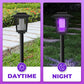Solar Bug Zapper Outdoor