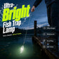 Ultra-heldere visval lamp