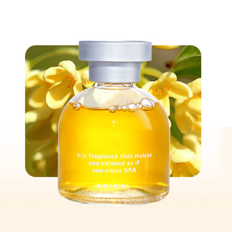 🌸 50% korting op langdurig autoparfum – blijft wekenlang fris ruiken, zonder chemische geur