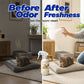 🥳2026 HOT SALE🥳💞50K+ SOLD! 🐾💨 Enzyme Pet Deodorizing Spray – bio-enzyme formula destroys odors at the source on sofas, carpets & floors. No heavy perfume, just fresh air. Keep your home guest-ready! 🏠✨