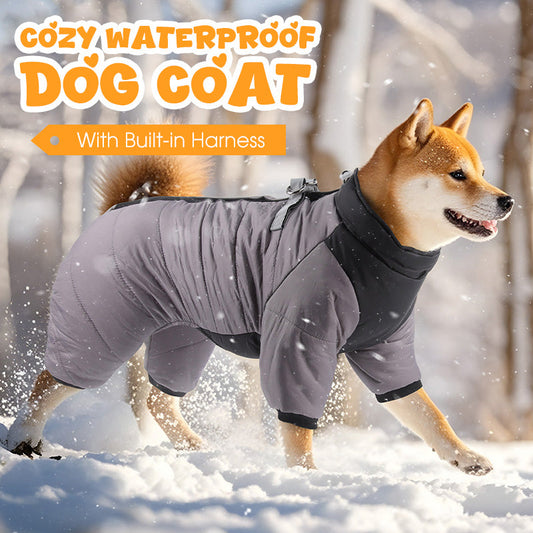 🌧️ Regen, sneeuw en kou? Deze hondenjas met ingebouwd tuigje houdt je hond warm en droog – zonder gedoe!