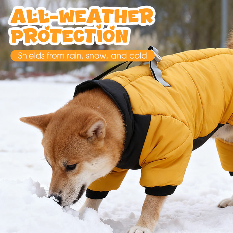 🌧️ Regen, sneeuw en kou? Deze hondenjas met ingebouwd tuigje houdt je hond warm en droog – zonder gedoe!