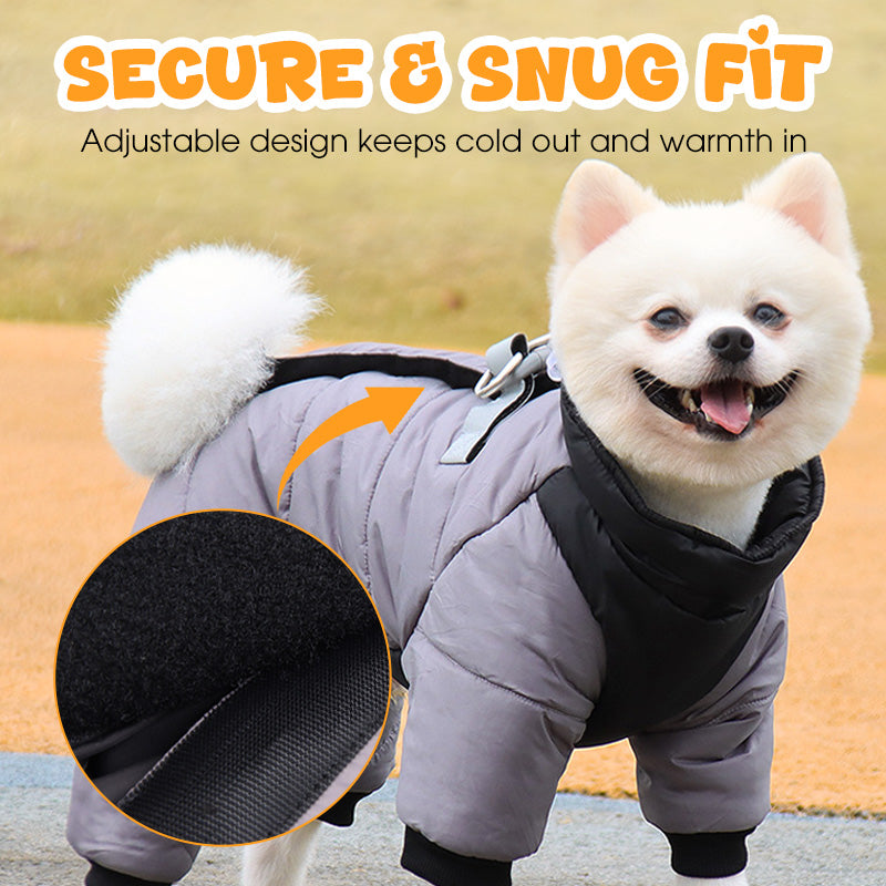 🌧️ Regen, sneeuw en kou? Deze hondenjas met ingebouwd tuigje houdt je hond warm en droog – zonder gedoe!