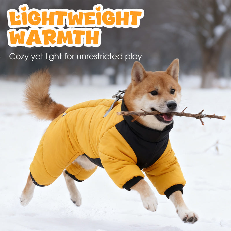 🌧️ Regen, sneeuw en kou? Deze hondenjas met ingebouwd tuigje houdt je hond warm en droog – zonder gedoe!
