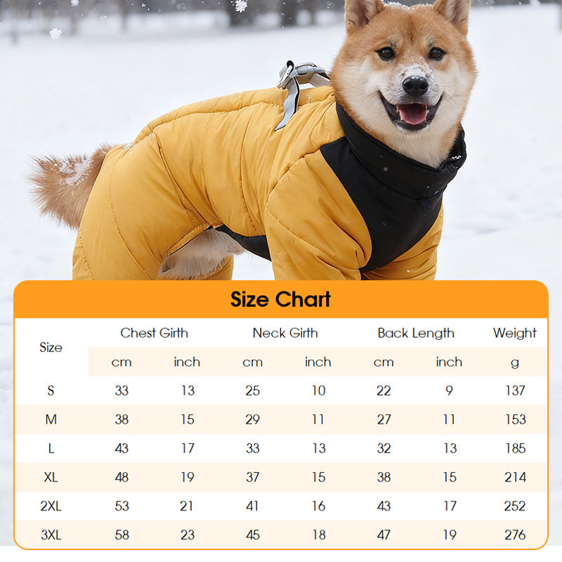🌧️ Regen, sneeuw en kou? Deze hondenjas met ingebouwd tuigje houdt je hond warm en droog – zonder gedoe!