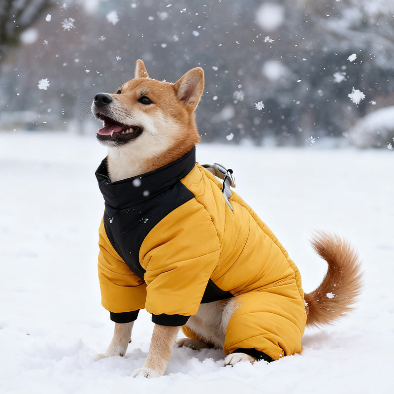 🌧️ Regen, sneeuw en kou? Deze hondenjas met ingebouwd tuigje houdt je hond warm en droog – zonder gedoe!